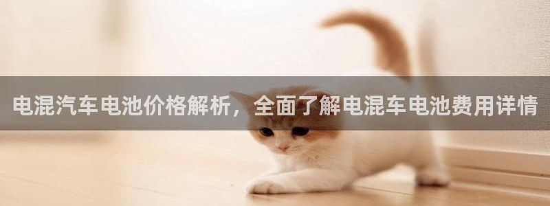 优发国际手机客户端下载安装手机版