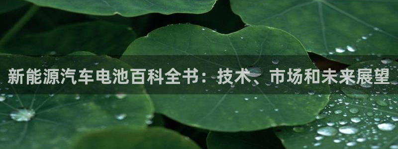 优发国际手机客户端下载安装手机版