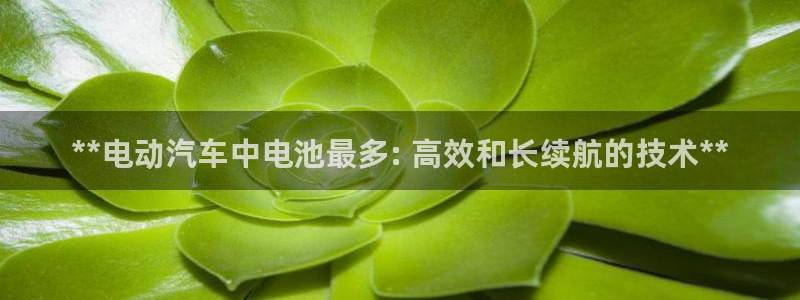 优发国际网官网17o8