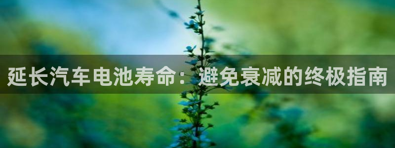 优发国际官网登陆