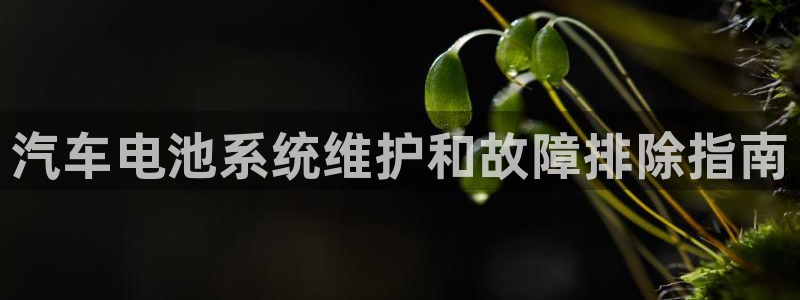优发国际手机版网站入口