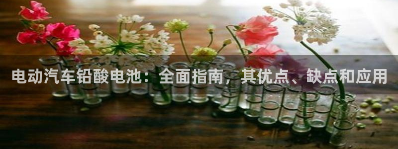 优发国际手机客户端app