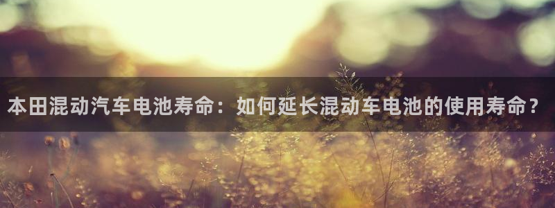 优发国际首页官网