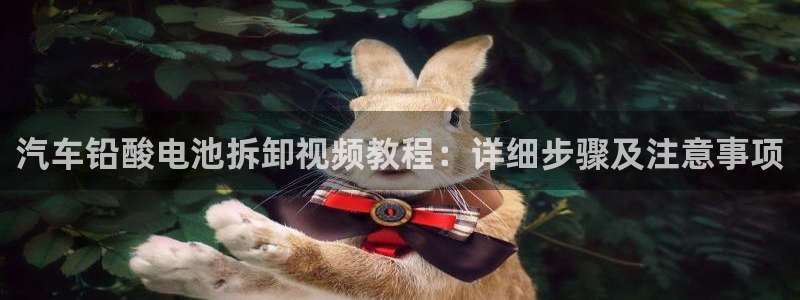 优发国际网官网17w80是什么