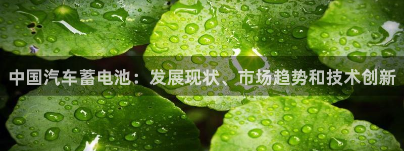 优发国际app官网下载安装